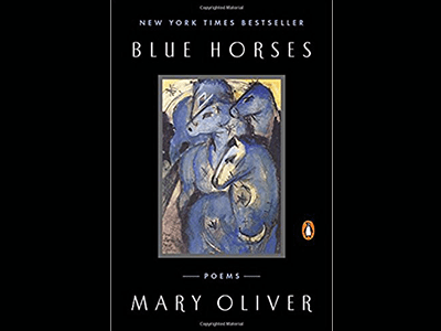Book cover image for Blue Horses