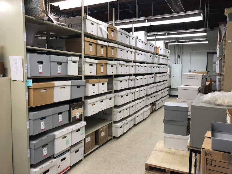 Shelves of archival boxes