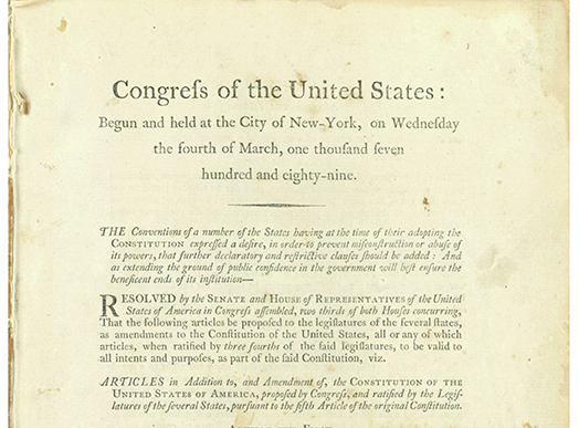 A Good Canvas, Yet Unfinished: The Posner Bill of Rights and the Centennial of the 19th Amendment