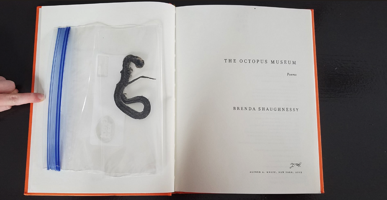 Snake in plastic bag inside library book