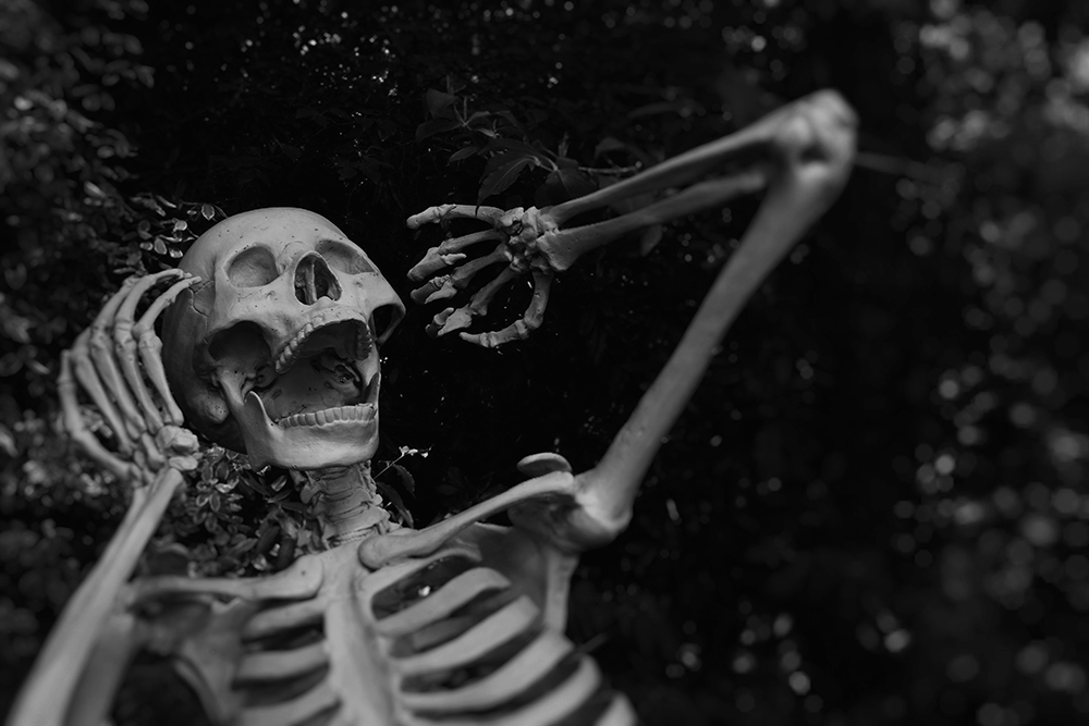 Black and white image of skeleton with frightful expression.