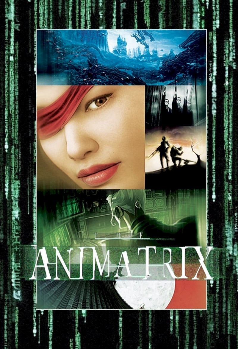 The Animatrix