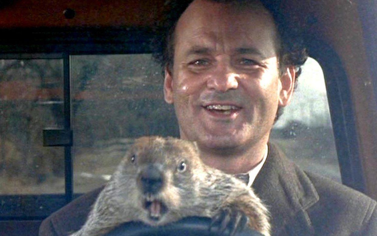 Screenshot from Groundhog Day with Bill Murray driving with the groundhog