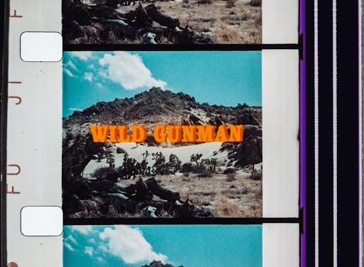 Wild Gunman