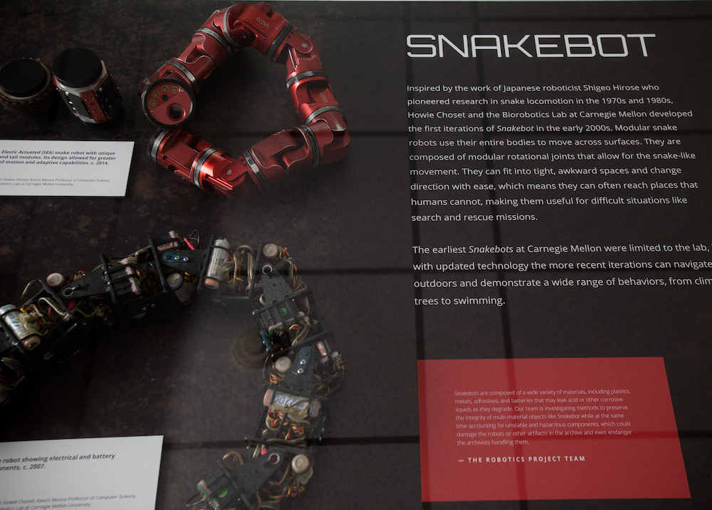 Snakebot