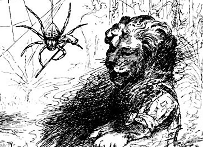 Illustration by Gerald Sichel "Cunnie Rabbit, Mr. Spider & the Other Beef"