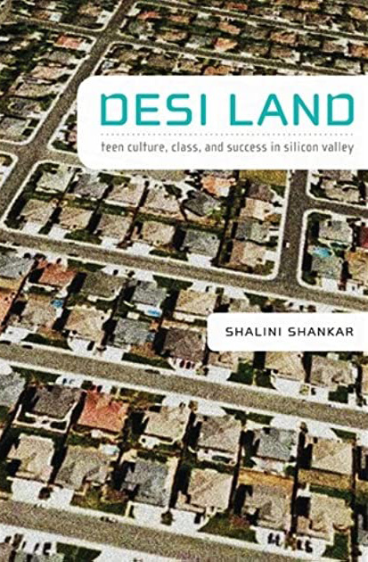 Desi Land: Teen Culture, Class, and Success in Silicon Valley