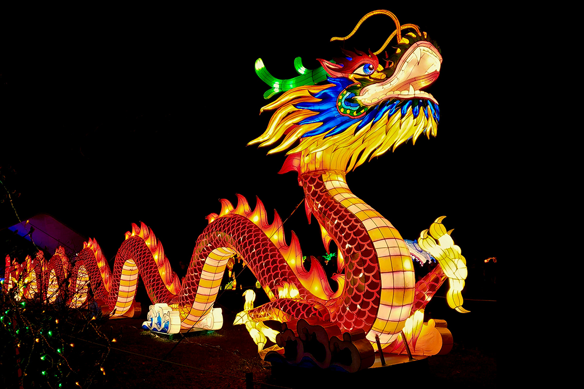 Dragon in a Chinese New Year celebration