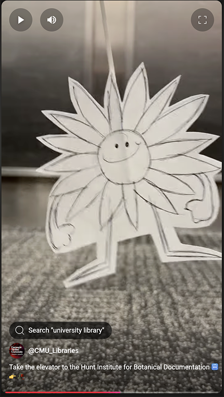 Screenshot of playlist on YouTube