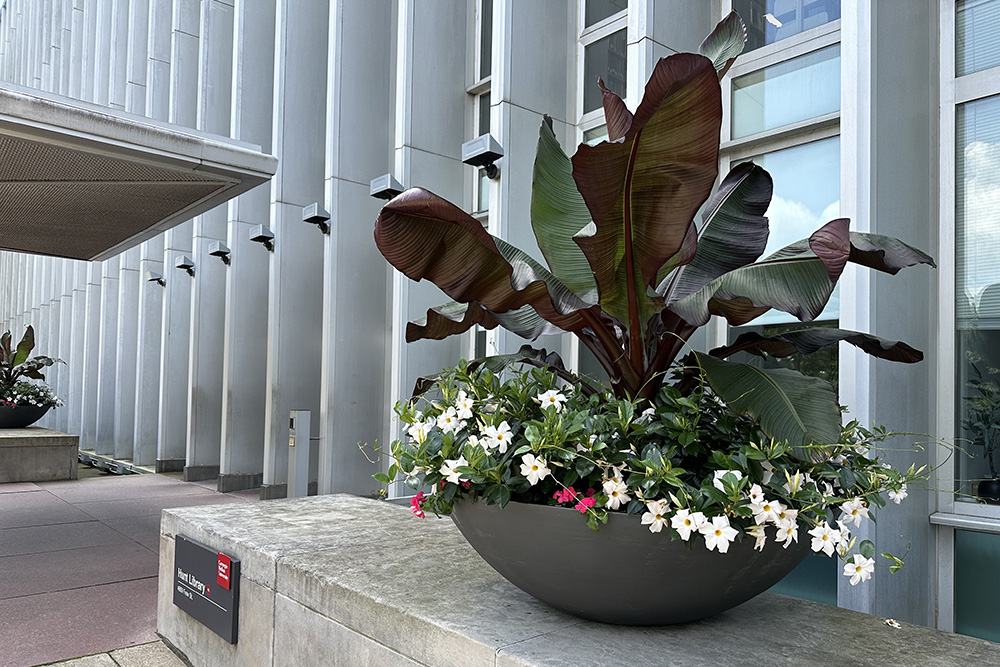 Hunt Library