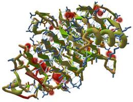 Citizen Science Featurettes presents: FoldIt!
